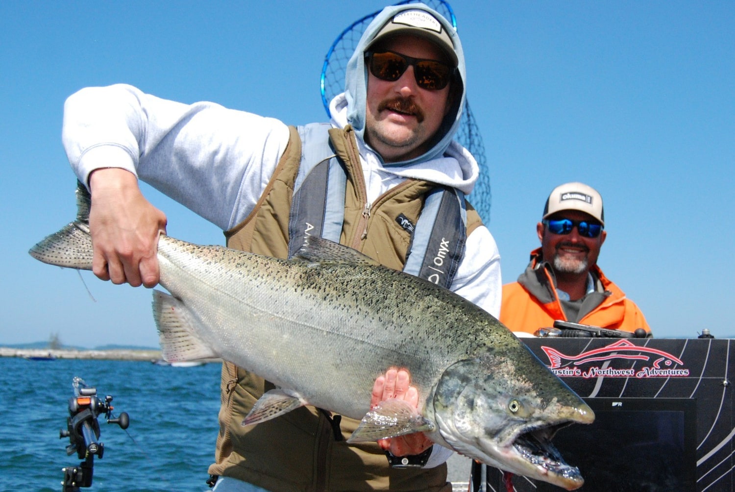 Chinook salmon, the original photo