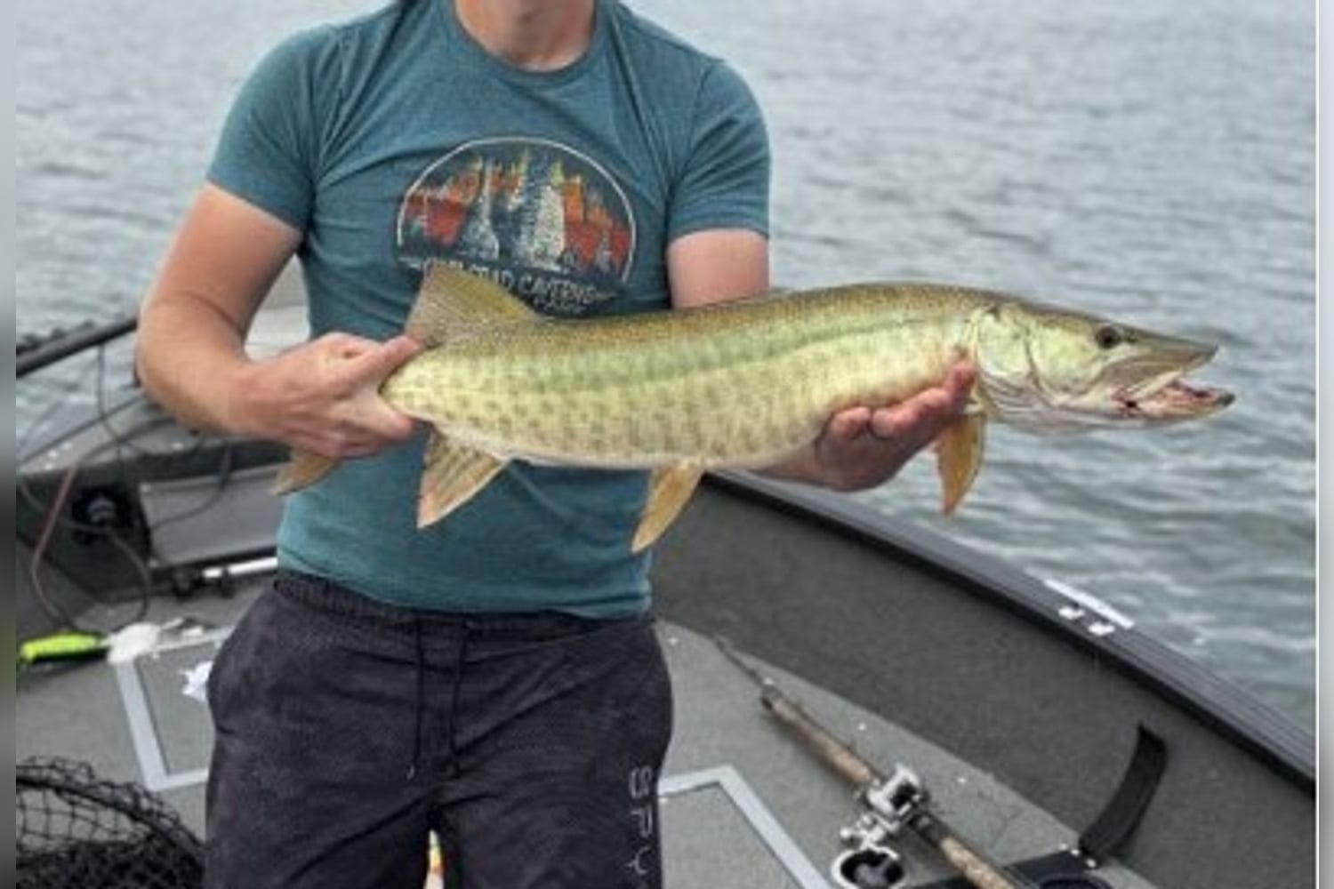 Muskie — 33" — original