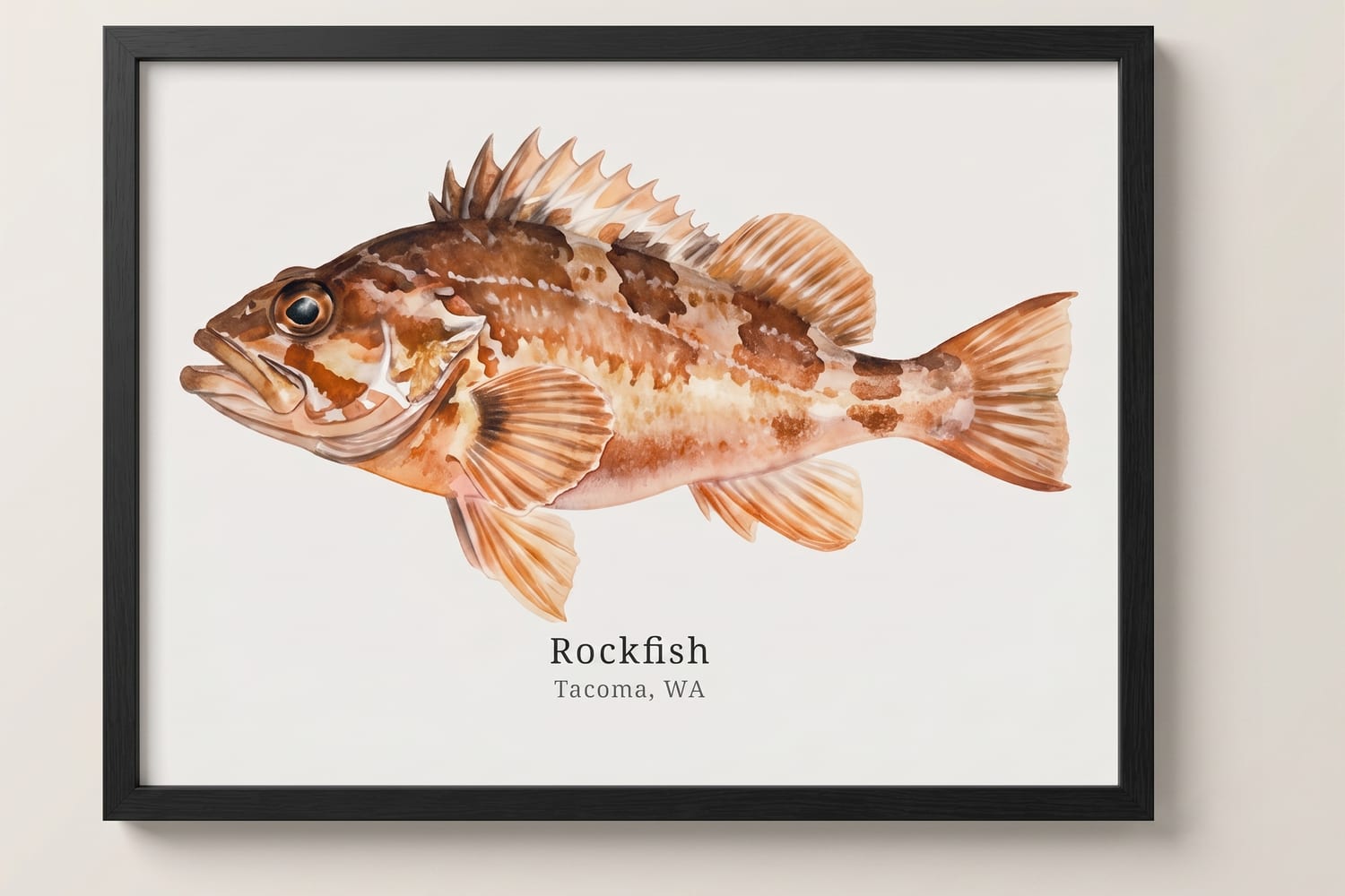 Rockfish — framed print